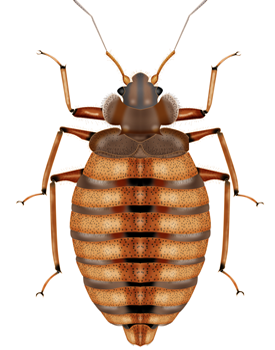 Dessinateur-projeteur Paris